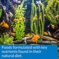 thumbnail image 7 of API Goldfish Pellets, Fish Food, 7 oz, 7 of 7