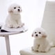 thumbnail image 2 of Bichon Frise Puppy Peluche de peluche para niños, perro de peluche, mascotas de simulación lindas, muñecas de bebé esponjosas, regalos de cumpleaños, envío directo, 2 of 5