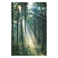 thumbnail image 1 of simhoa Modern 3D Picture Wall Hanging Tapestry Home Decor Forest Sunshine Pattern A A, 1 of 8