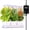 White, variant on Indoor Herb Garden Kit with Full Spectrum Adjustable LED Grow Light, Height-Adjustable Planter Pot and Smart Controller, White, 16 x 6.3 x 7.1 Inches