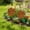 Brown A, variant on Outdoor Wrought Iron Flower Pot Decor – Garden Yard Courtyard Insert Silhouette for Natural, Elegant, Low-Maintenance Outdoor Space Enhancement brown