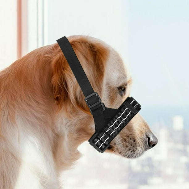Dog muzzle to prevent licking online
