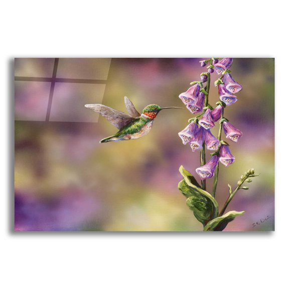 Epic Art 'Spring Hummingbird' by Sarah Davis, Acrylic Glass Wall Art, 24"x16"
