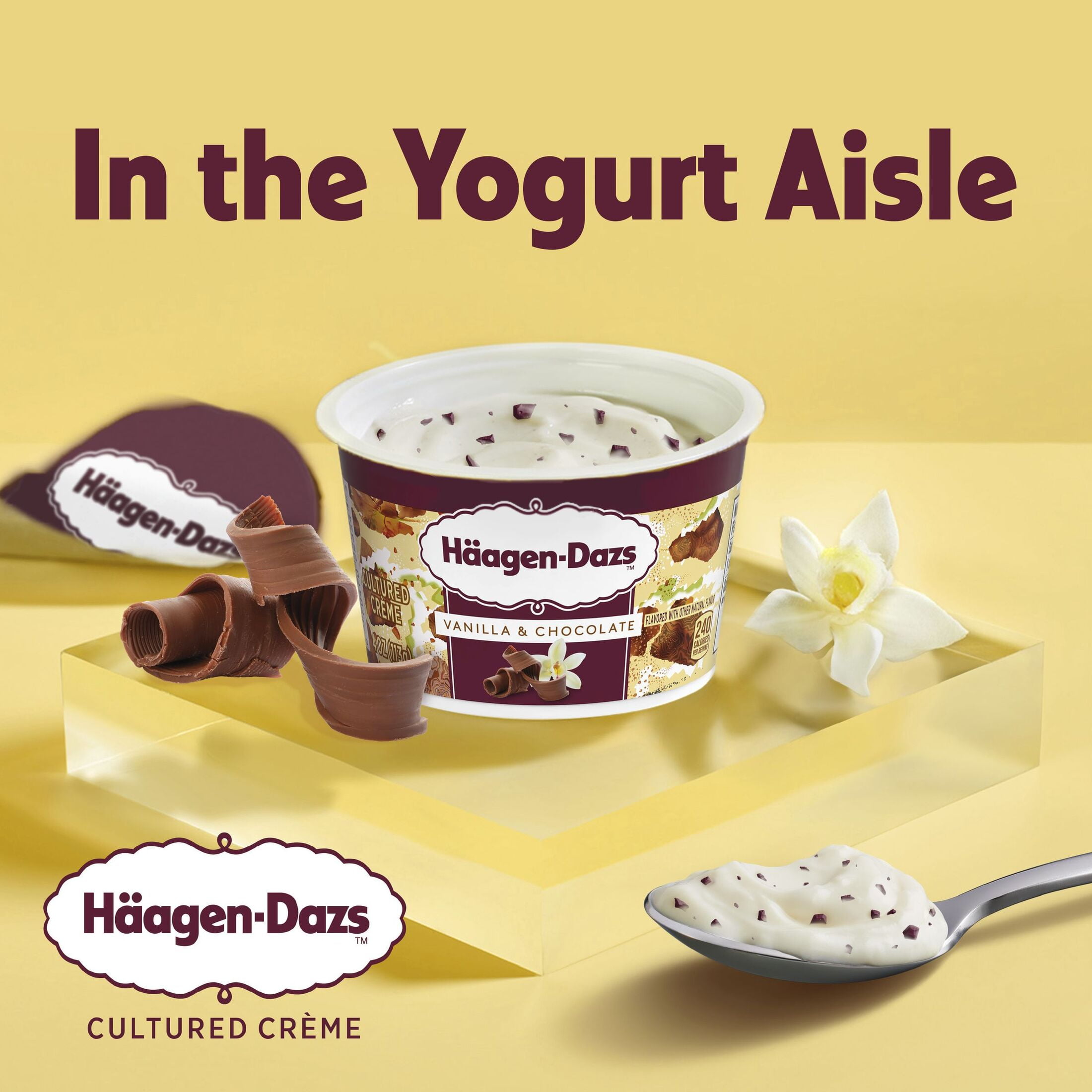 Haagen Dazs Yogurt Style Snack, Cultured Cream, Vanilla and Chocolate Flavored, 4 oz Cup
