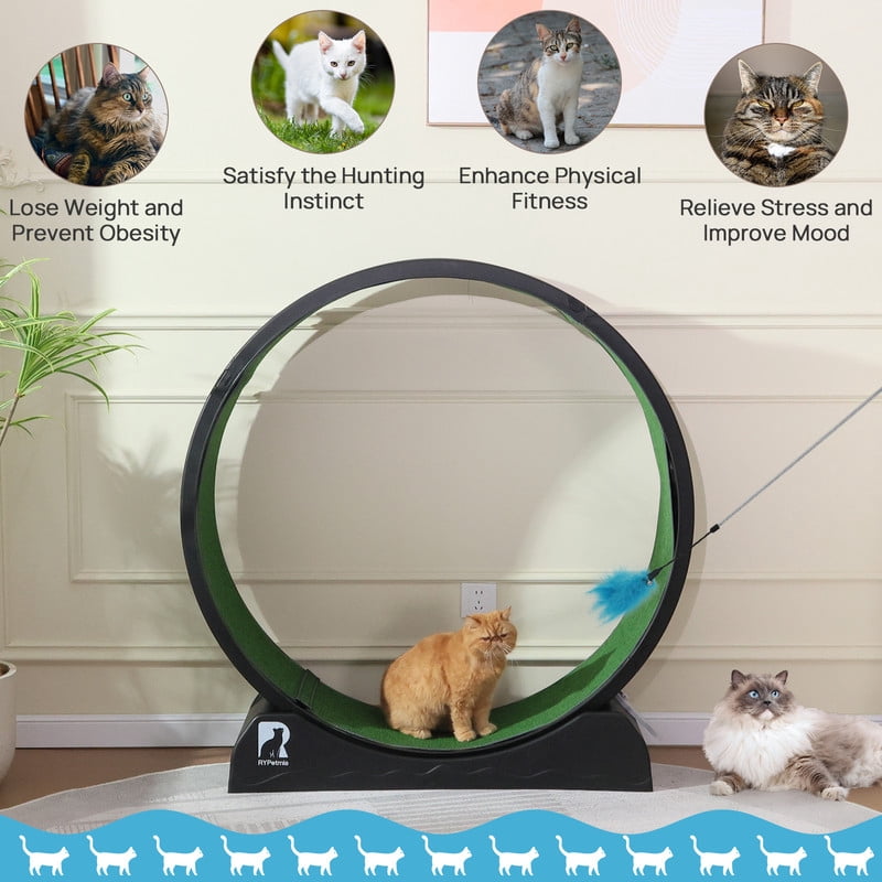 Cat Exerciser Wheel 45.6 Inch Large Cat Toy Running Wheel Treadmill with Detachable Carpet for Indoor Cats, Plastic Wheel