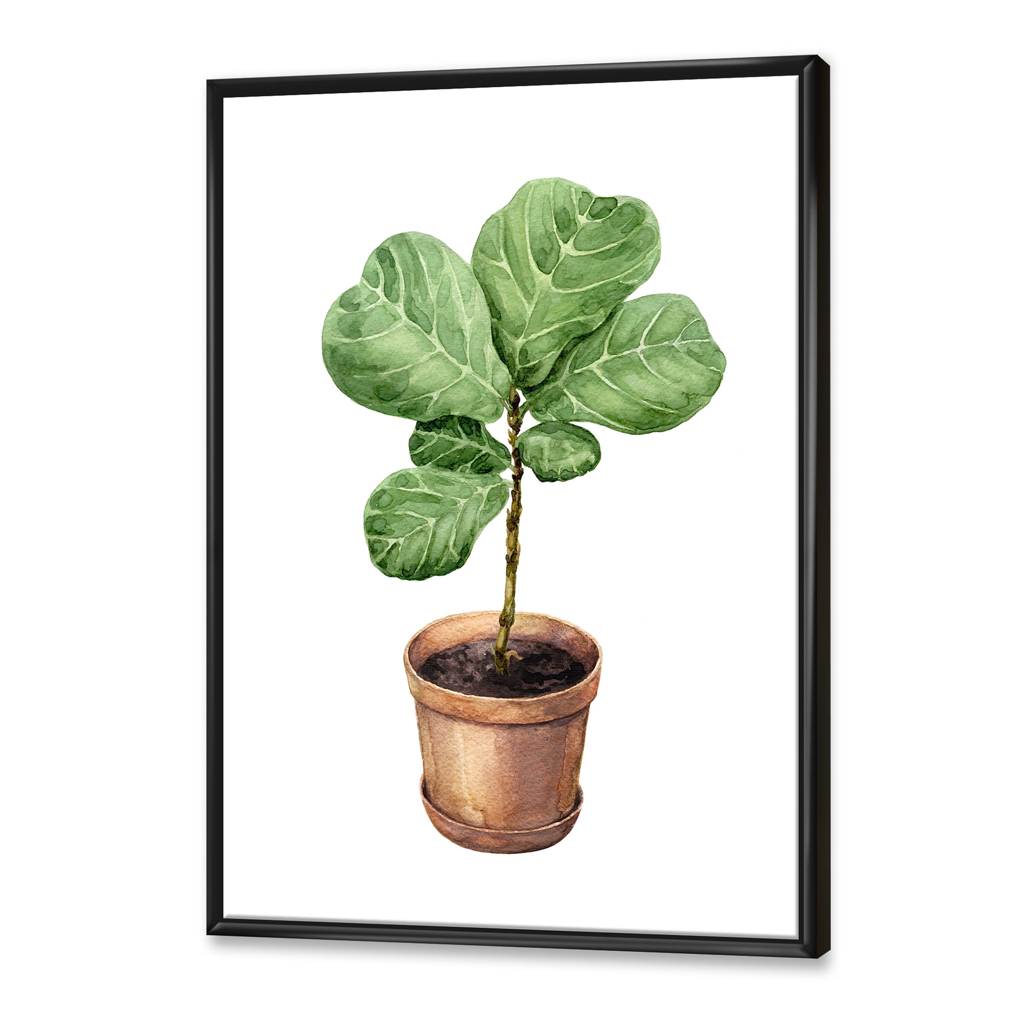 Designart 'Ficus Lyre Plant In Clay Flowerpot' Traditional Framed Canvas Wall Art Print