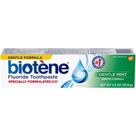 Biotène Gentle Formula Gentle Mint Toothpaste 4.3 Oz (Best Non Mint Toothpaste)