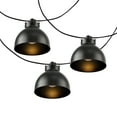 thumbnail image 4 of SAFAVIEH Claudie 10-Light G40 Black Metal Outdoor String Light with Black Shade, 4 of 7