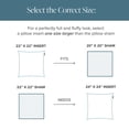thumbnail image 5 of Bare Home 22"x22" Pillow Inserts, Decorative Square Pillow Insert for Sofa/Couch, Set of 2, White, 5 of 9