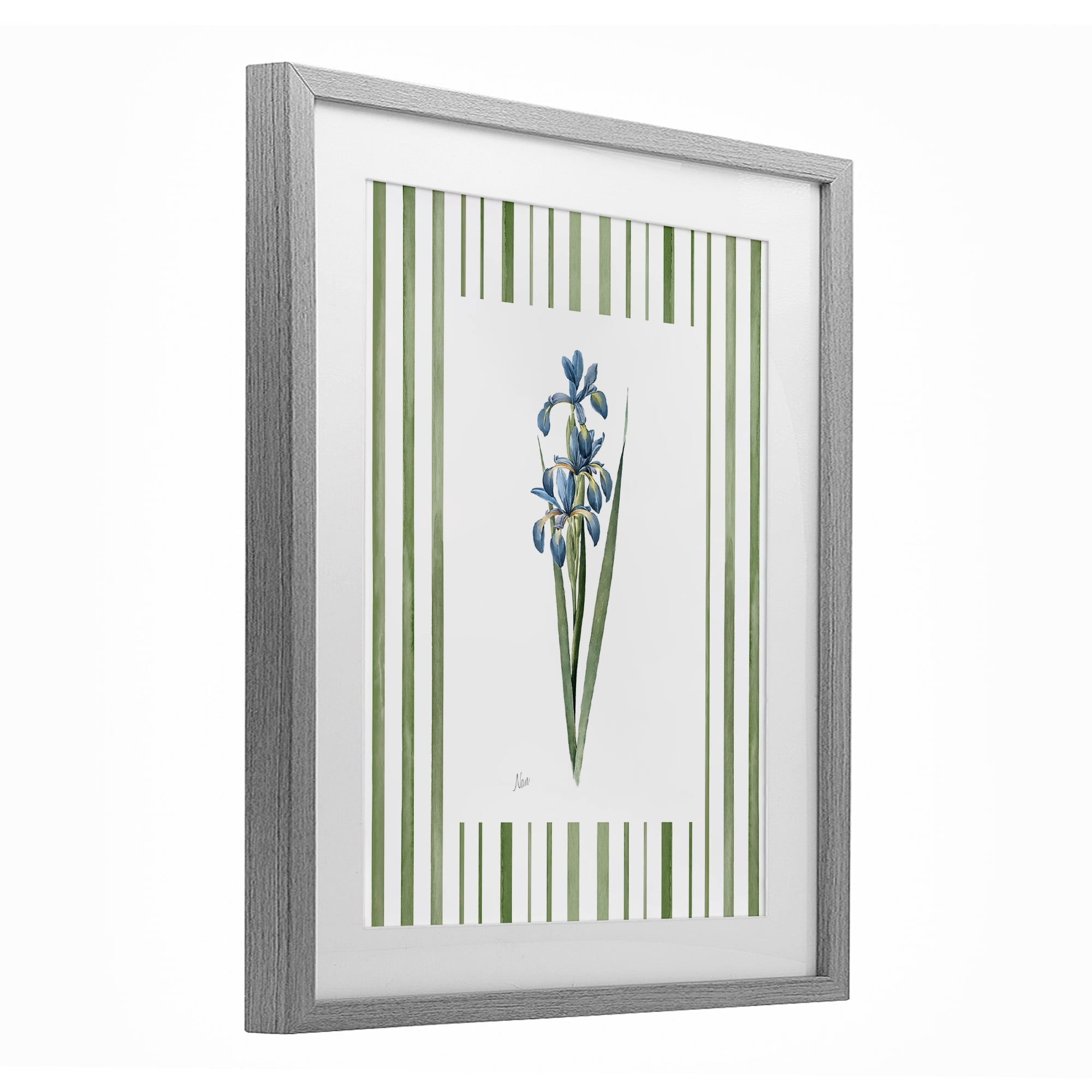 Stupell Industries Spring Irises with Stripes Gray Framed Print Under Glass, design by Nan