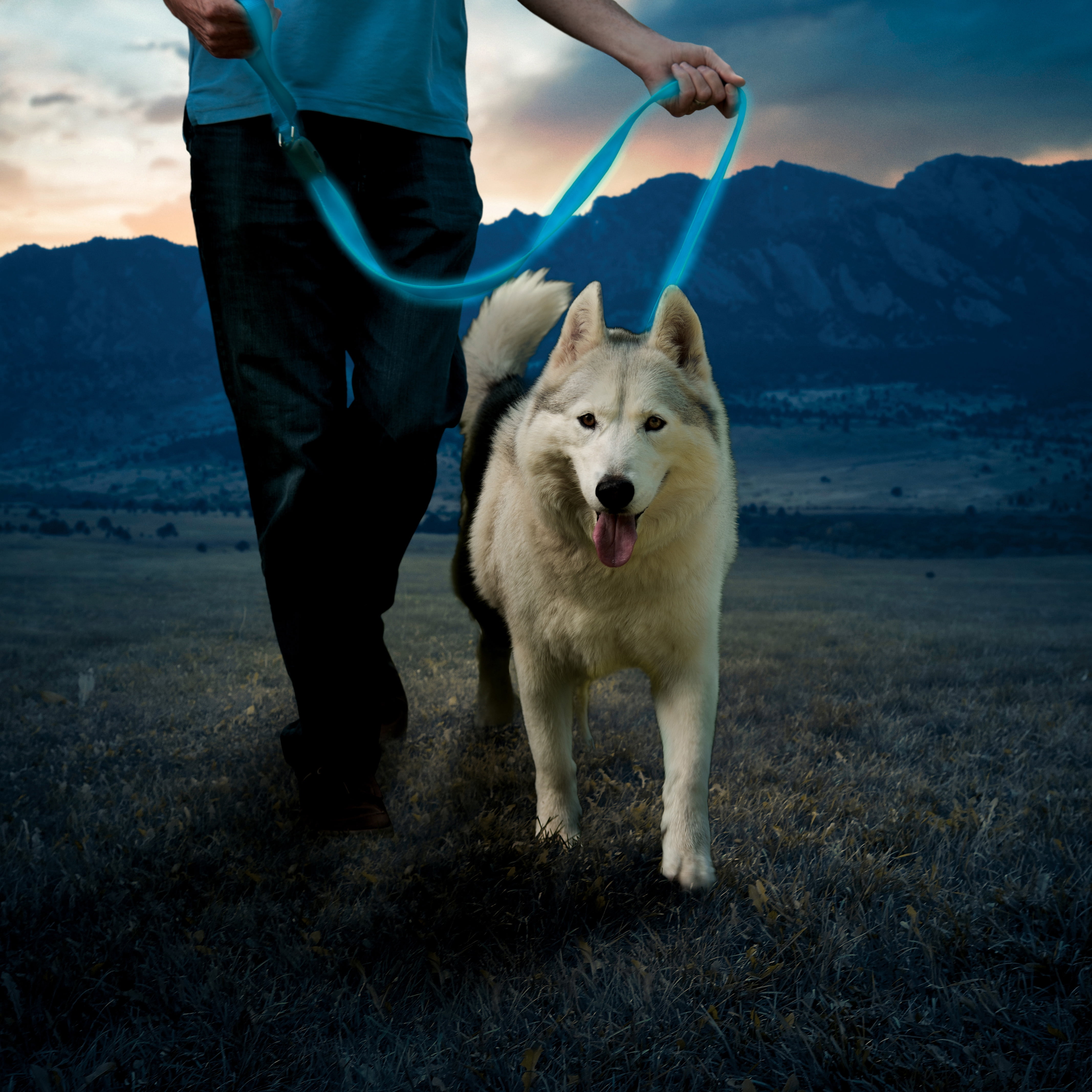 Nite Ize NIT-NDLR-03-R3 5 ft. 2020N NiteDog Rechargeable LED Leash, Blue LED