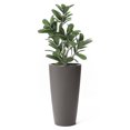 thumbnail image 2 of Step2 Tremont Dark Cedar Plastic Round Tapered Indoor and Outdoor Tall Planter, 2 of 5