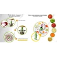 thumbnail image 4 of Brieftons Express - Picadora manual de alimentos para picar verduras, frutas, hierbas, cebolla de ajo para salsa, ensalada, pesto, guacamole, ensalada de col, cocina india, 4 of 5