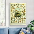 Asdg12s Vintage Wall Art - Sea Shell Ocean Fish Poster Marine Biology ...