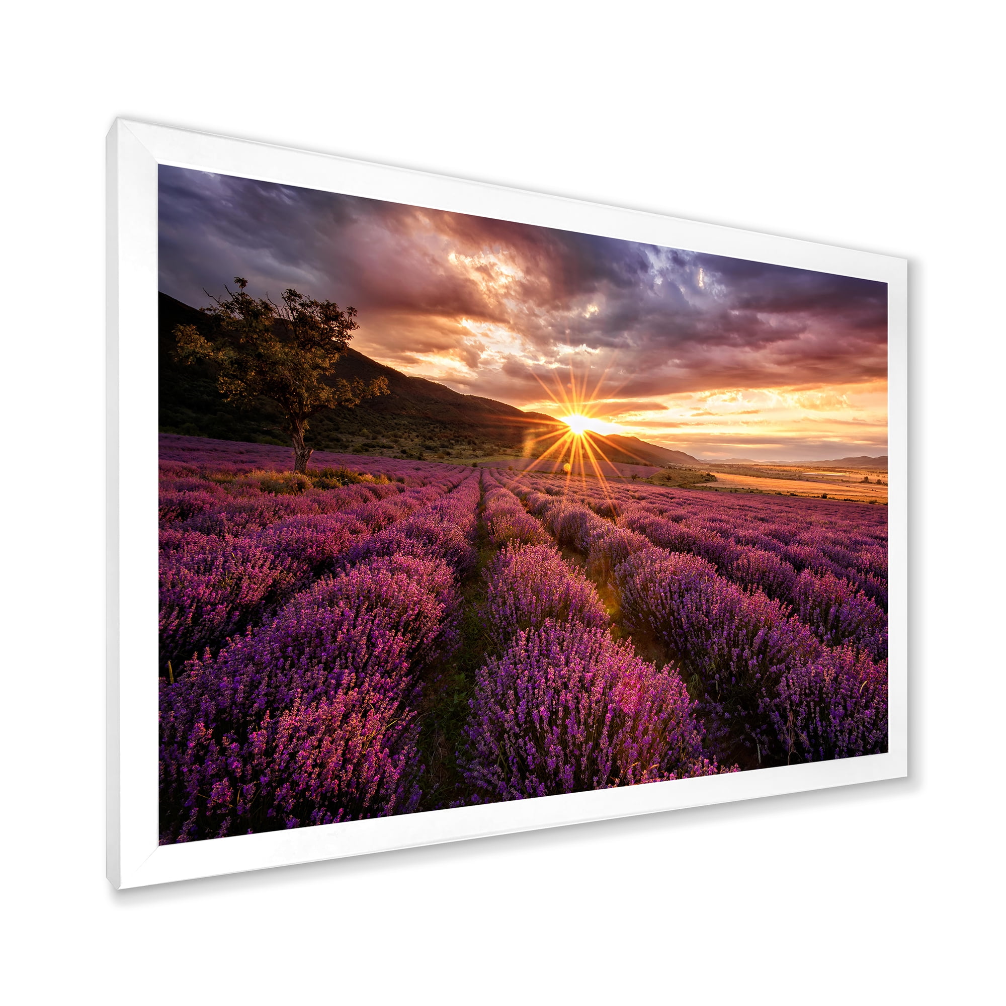 Designart 'Dramatic Clouds and Sunrise Over Lavender Field IV' Farmhouse Framed Art Print