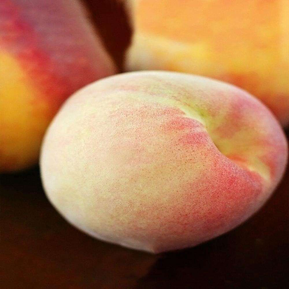 Expert Gardener 3-4 ft tall China Pearl Peach Live Tree in 7-Gallon Grower Pot
