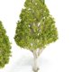 thumbnail image 2 of 5 miniárboles de álamo blanco decorativos novedosos (hojas verde claro), 2 of 5