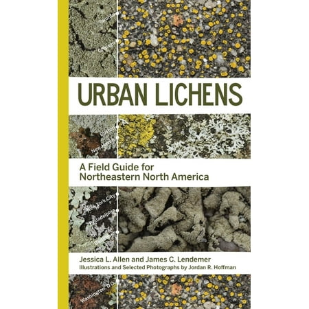 Urban Lichens : A Field Guide for Northeastern North America (Paperback)