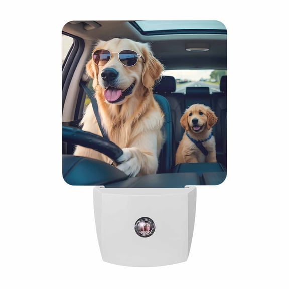 Night Lights Plug into Wall, Summer Funny LED Night Light with Dusk to Dawn Sensor, Modern Driving Dog Print Decorative Nightlight for Hallway Bathroom Kitchen
