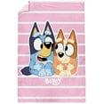 thumbnail image 4 of Bluey Kids Twin Silk Touch Blanket,, 4 of 5