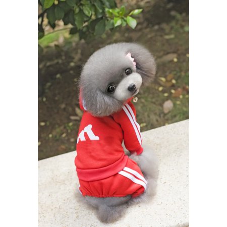 Pet Dog Jumpsuit for Small Medium Dogs