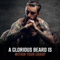thumbnail image 5 of Viking Revolution - Beard Oil Conditioner - Natural Beard Oil - Variety Pack Mix Bay Rum, Unscented, Sandalwood, 3 Packs, 5 of 8