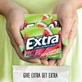 thumbnail image 4 of EXTRA SWEET WATERMELON Bubble Gum 12 Pack  Wholesale Great for Convenience Stores, Snack Shops, Grocery Stores Or Just Stock Up For The Love Of 'EM (EXTRA SWEET WATERMELON  WHOLESALE CASE), 4 of 8