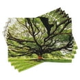 thumbnail image 1 of Ambesonne Nature Place Mats Set of 4, Majestic Tree Thailand, Standard Size, Green Brown, 1 of 6