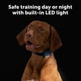 thumbnail image 5 of PetSafe Core Dog Trainer with Remote – 1000 Foot Range – Tone, Vibration and 15 Levels of Static, 5 of 9