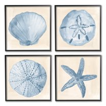 Blue Varied Seashell Marine Life Animals & Insects Graphic Art Black Framed Art Print Wall Art, Set of 4