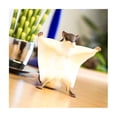 thumbnail image 2 of Safari Ltd. Flying Squirrel Figurine - Lifelike 6.5" Model Figure - Educational Toy for Boys, Girls, and Kids Ages 18 months+, 2 of 7