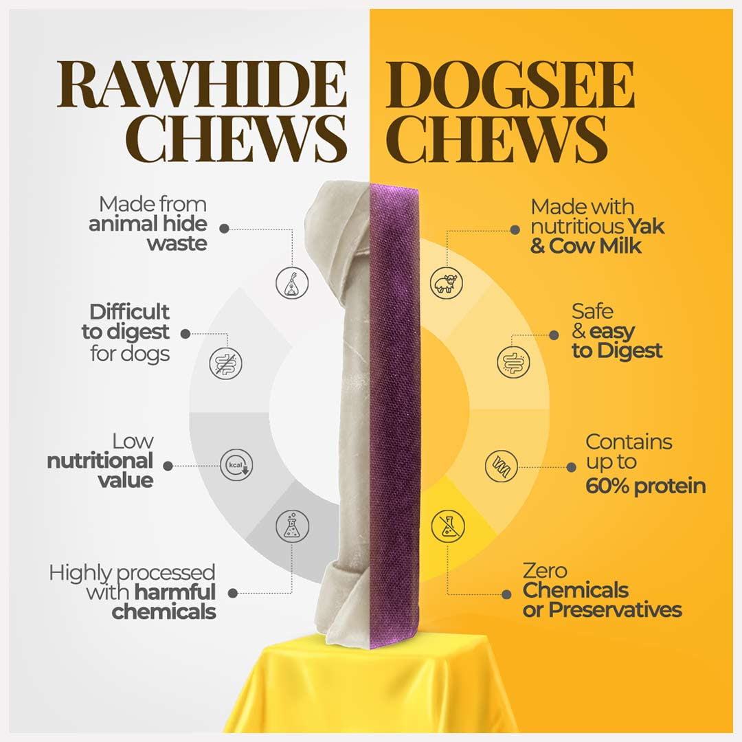 Dogsee Blueberry Flavor Himalayan Yak Cheese Dental Chews for Dogs - (Medium 6)| Dog Treats Healthy | Cleans Teeth & Freshens Breath | No Grain, No Gluten | Dog Chews Rawhide Free