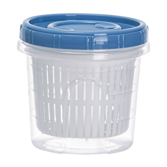 Plastic Food Storage Box for Fruits Vegetables Chopped Green Onions Ginger Garlic Paste Refrigerator Use 4.41 in x 4.41 in x 4.21 in