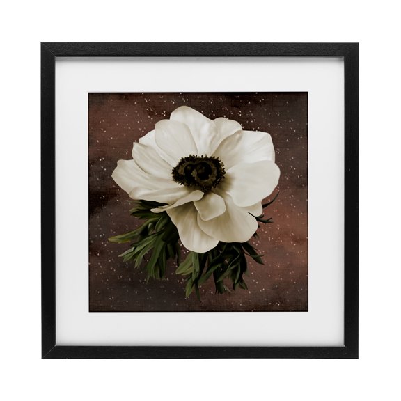Stupell Industries Transitional Anemone on Brown Black Framed Print Under Glass, 13 x 13, by Jennifer Stith