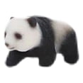 thumbnail image 3 of Figuras de Panda en miniatura Sunnimix escala 1:87 Estilo C, 3 of 7