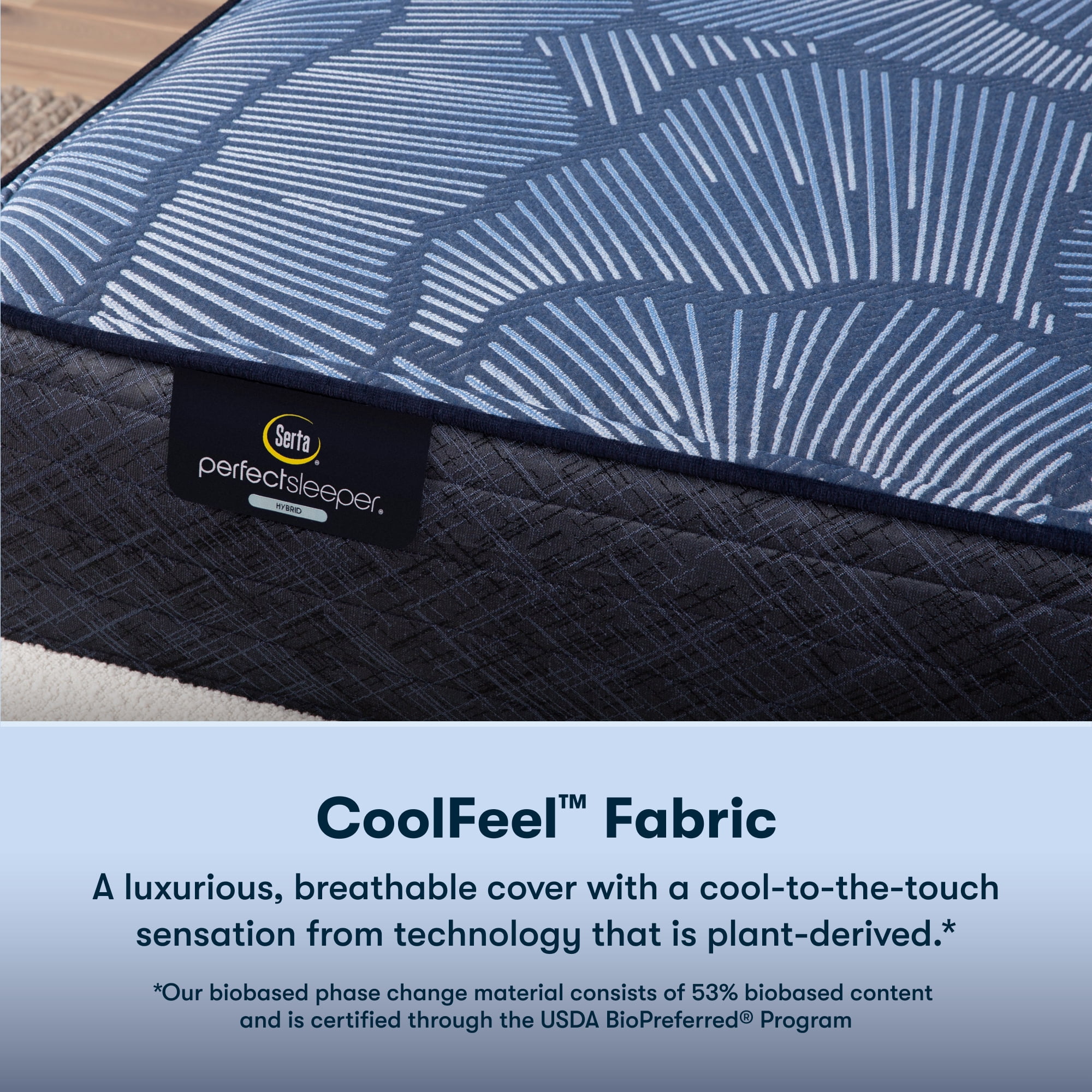 Serta 14" Twin XL Mattress, Perfect Sleeper Radiant Rest Plush, Hybrid Mattress, Twin XL Size Mattress, Adult Mattress