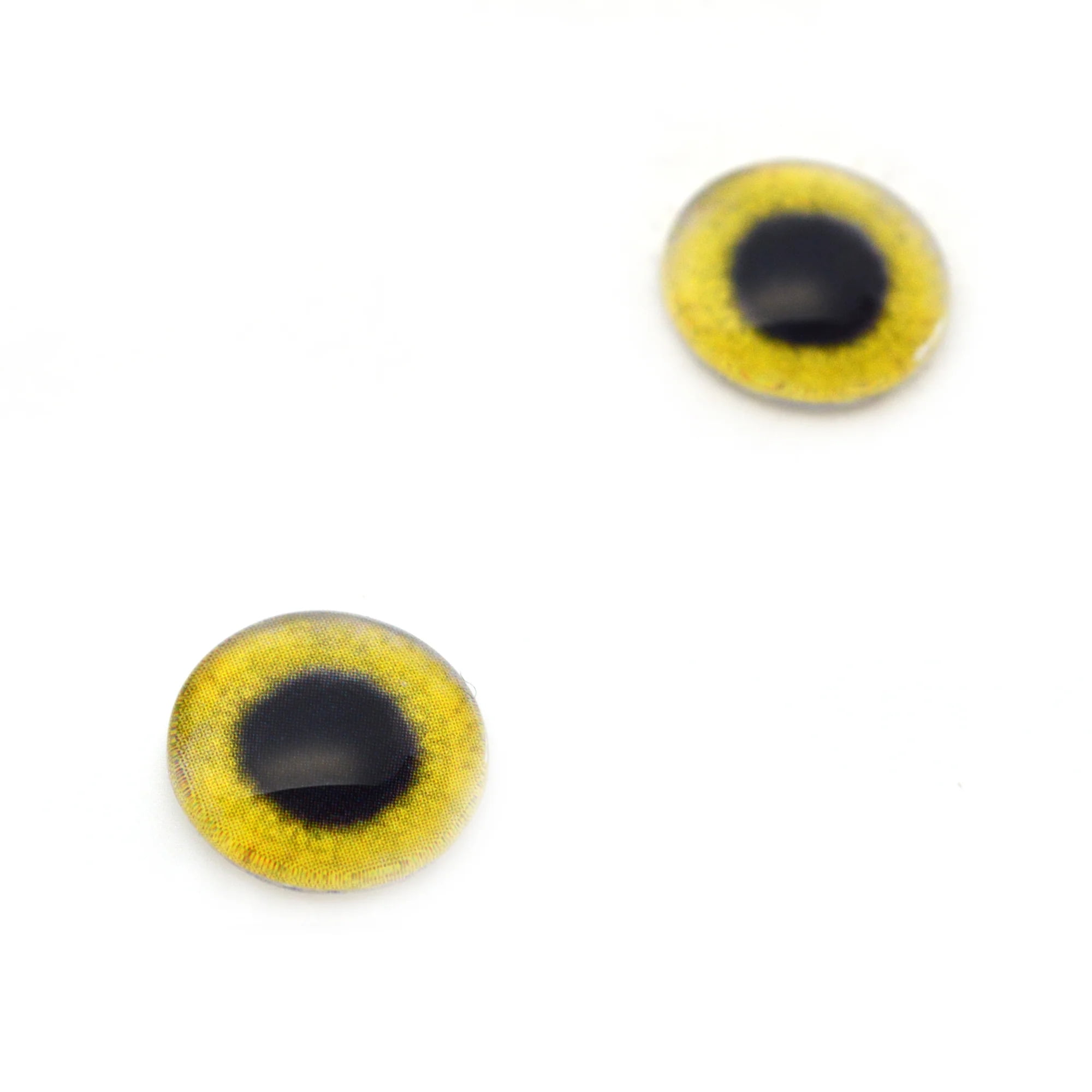 Yellow Osprey Glass Bird Eyes