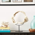 thumbnail image 4 of Design Toscano SD1130959 Shark Jaws Jagged Teeth Statue on Display Stand, 16 Inch, Bone, 4 of 4
