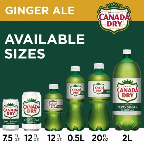 2X - Canada Dry Zero Sugar Ginger Ale Soda Mini Cans 10 pk / 7.5 fl oz