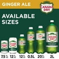 thumbnail image 3 of 2X - Canada Dry Zero Sugar Ginger Ale Soda Mini Cans 10 pk / 7.5 fl oz, 3 of 5