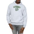 thumbnail image 3 of Harry Potter Mens Slytherin Sport Emblem Hoodie, 3 of 5