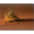 thumbnail image 2 of Blue, Cyril 24x20 White Modern Wood Framed Museum Art Print Titled - Grass, Sand Dune Sahara, 2 of 4