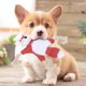 thumbnail image 3 of Juguete De Peluche Suave Para Masticar Perros, Juguete Para Masticar Perros, Sonido De Mascotas Para Entrenamiento De Juguetes Para Perros Limpieza De Dientes Cergrey Rojo, 3 of 8