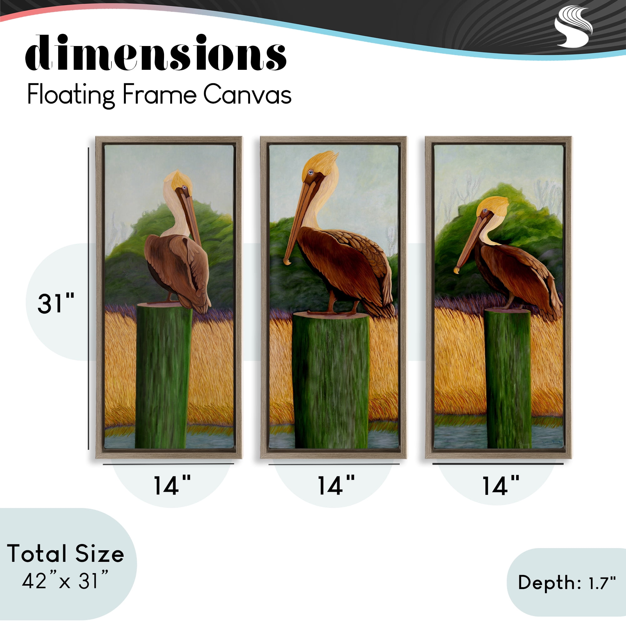 Stupell Industries Blue Eyed Pelicans in Marsh 3 Piece Brown Framed Floater Canvas Set, design by Barbara Fallenbaum