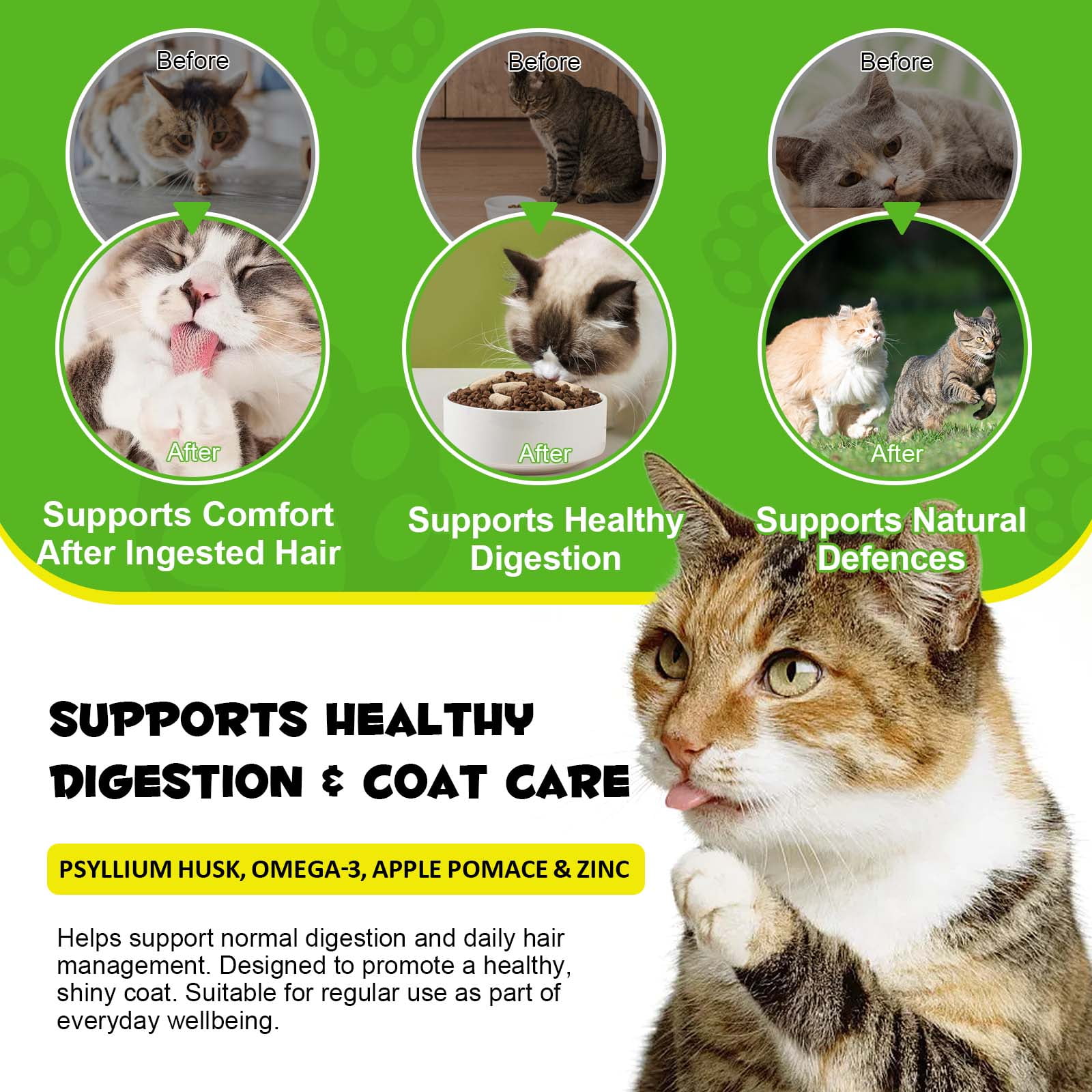 Oimmal Hairball Control Treats for Cats & Kittens - Natural Fiber Supplement with Psyllium for Digestive Health & Ingested Hair Elimination, Immune Support 3Pack