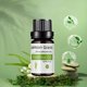 thumbnail image 3 of Ganfancp Aceite Corporal 10Ml Hidratante Cuidado de La Piel Aceite de Masaje Fragancias Calmante Cuidado de La Piel Masaje Nutritivo Integral Ofertas Del Día 1* Aceite Esencial, 3 of 5
