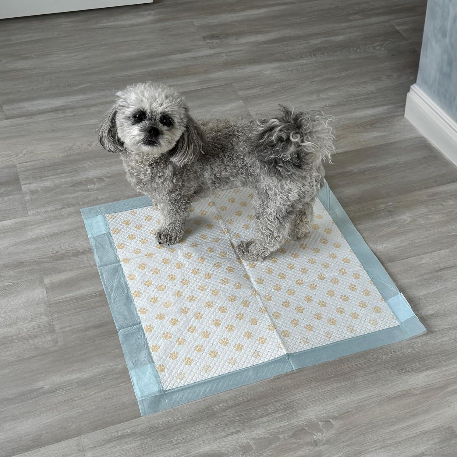 SPOT Dr. Bales Early Detection Health Monitoring Pee Pads 50 Pack for Dogs