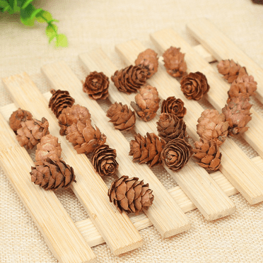 Mini Pine Cones, Natural, 24 Pack, Great for DIY Crafts and Vase Fillers,