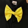 thumbnail image 5 of Posijego Baby Boy 2 Piece Outfit Little Boy Gentleman Clothes Bow Tie Short Sleeve Shirt Suspender Shorts Set, 5 of 7