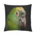 thumbnail image 2 of Ahgly Company Animals Parrot Outdoor Throw Pillow, 18 inch by 18 inch, 2 of 6